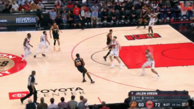 吸引到了包, 拉德利 吸引到了包, 拉德利