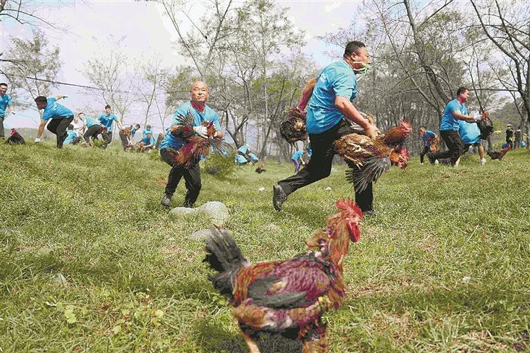 友谊第一, img